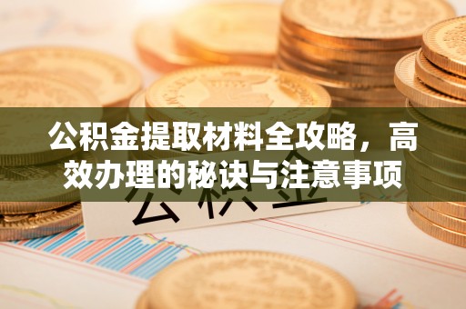 沧县公积金提取材料全攻略，高效办理的秘诀与注意事项