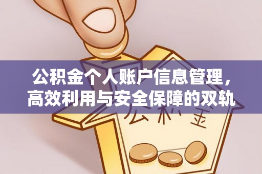 沧县公积金个人账户信息管理，高效利用与安全保障的双轨并行