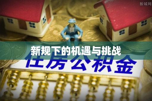 沧县新规下的机遇与挑战