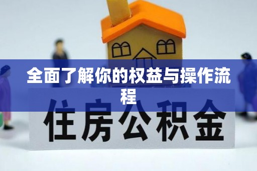 沧县全面了解你的权益与操作流程