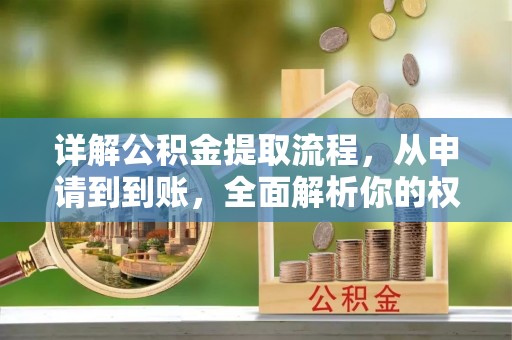 沧县详解公积金提取流程，从申请到到账，全面解析你的权益与操作步骤