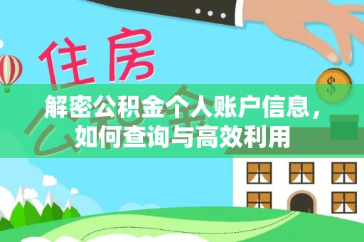 沧县解密公积金个人账户信息，如何查询与高效利用