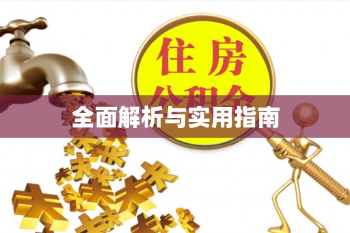 沧县全面解析与实用指南