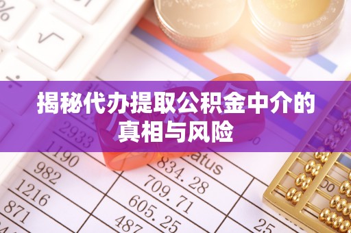 沧县揭秘代办提取公积金中介的真相与风险