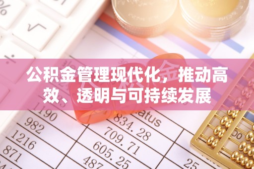 沧县公积金管理现代化，推动高效、透明与可持续发展