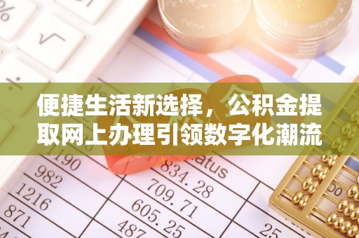 沧县便捷生活新选择，公积金提取网上办理引领数字化潮流