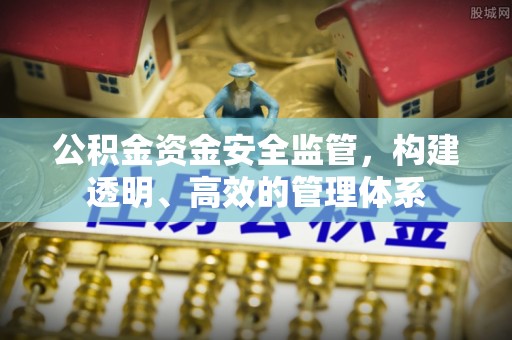 沧县公积金资金安全监管，构建透明、高效的管理体系