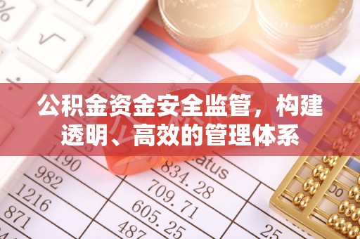 沧县公积金资金安全监管，构建透明、高效的管理体系