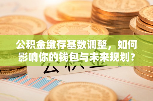 沧县公积金缴存基数调整，如何影响你的钱包与未来规划？