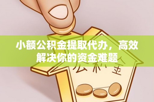沧县小额公积金提取代办，高效解决你的资金难题