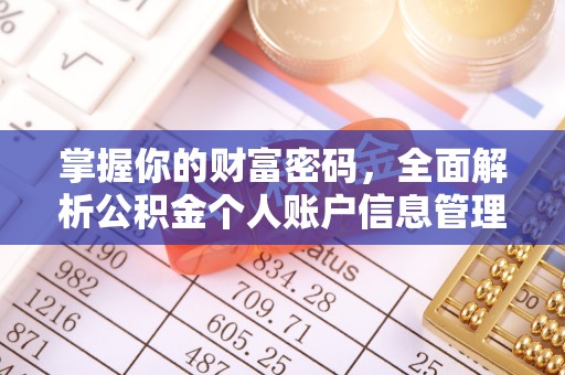 沧县掌握你的财富密码，全面解析公积金个人账户信息管理与优化