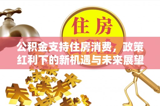 沧县公积金支持住房消费，政策红利下的新机遇与未来展望