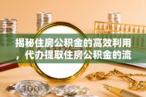 沧县揭秘住房公积金的高效利用，代办提取住房公积金的流程与技巧