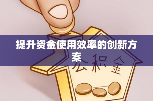 沧县提升资金使用效率的创新方案