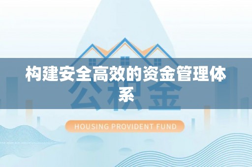 沧县构建安全高效的资金管理体系