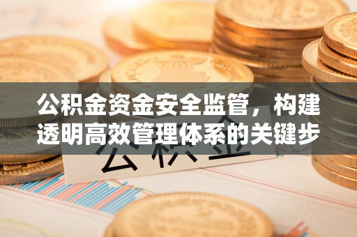 沧县公积金资金安全监管，构建透明高效管理体系的关键步骤