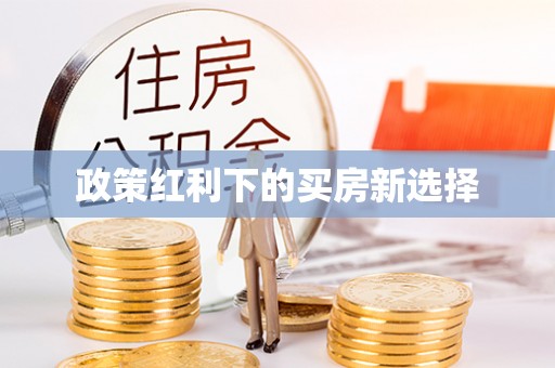 沧县政策红利下的买房新选择