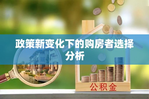 沧县政策新变化下的购房者选择分析