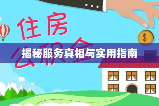 沧县揭秘服务真相与实用指南