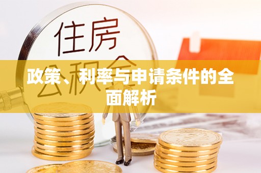 沧县政策、利率与申请条件的全面解析