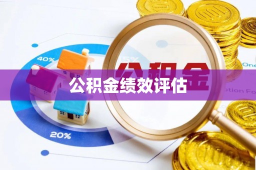 沧县公积金绩效评估