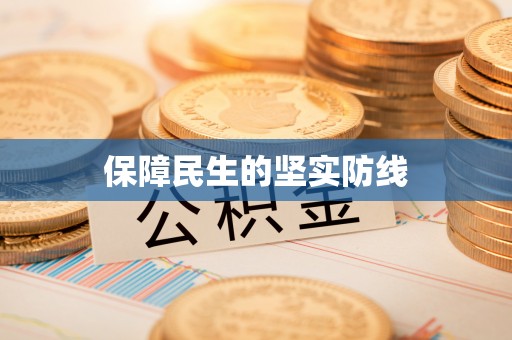 沧县保障民生的坚实防线