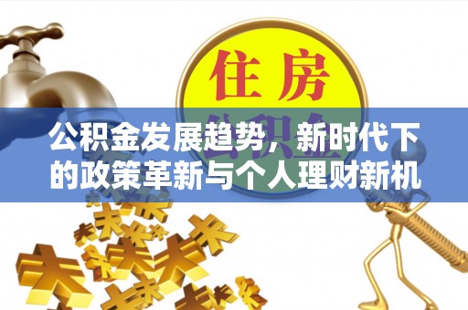 沧县公积金发展趋势，新时代下的政策革新与个人理财新机遇