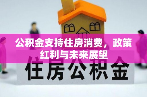 沧县公积金支持住房消费，政策红利与未来展望