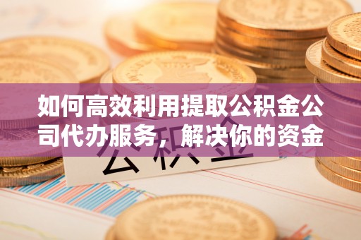 沧县如何高效利用提取公积金公司代办服务，解决你的资金难题