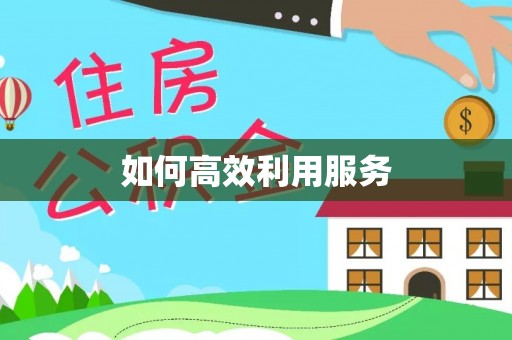 沧县如何高效利用服务
