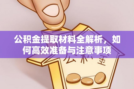 沧县公积金提取材料全解析，如何高效准备与注意事项