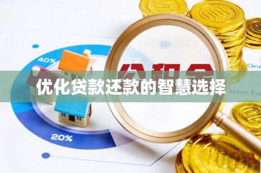 沧县优化贷款还款的智慧选择
