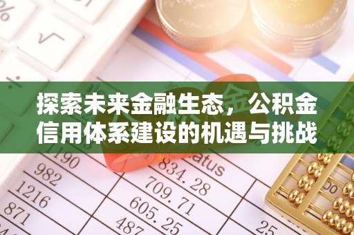 沧县探索未来金融生态，公积金信用体系建设的机遇与挑战
