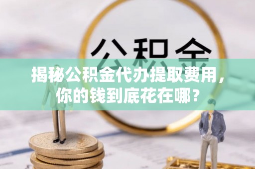 沧县揭秘公积金代办提取费用，你的钱到底花在哪？