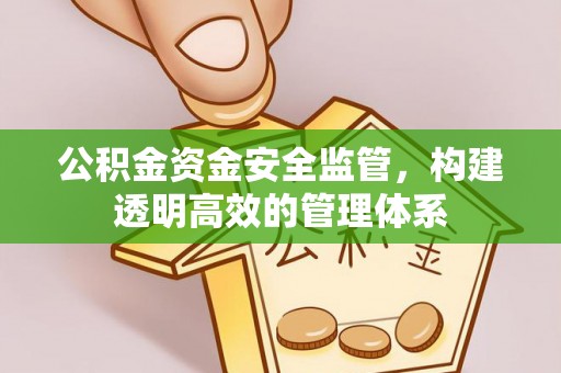 沧县公积金资金安全监管，构建透明高效的管理体系