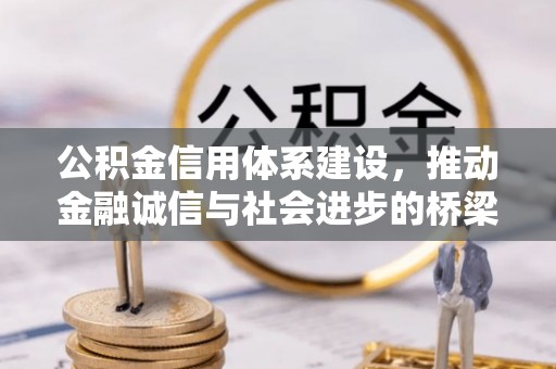 沧县公积金信用体系建设，推动金融诚信与社会进步的桥梁