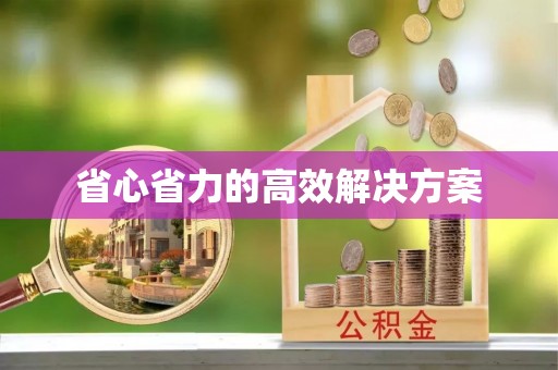 沧县省心省力的高效解决方案