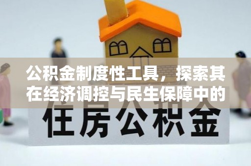 沧县公积金制度性工具，探索其在经济调控与民生保障中的重要作用