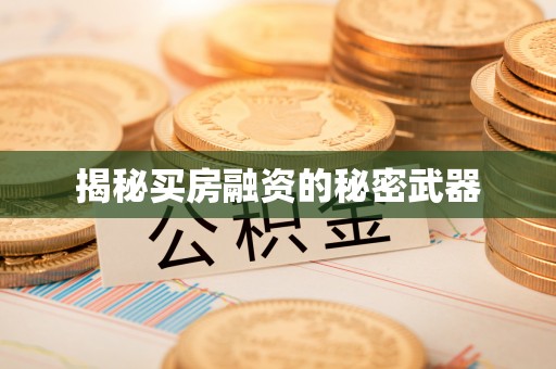 沧县揭秘买房融资的秘密武器