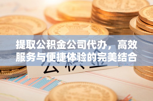 沧县提取公积金公司代办，高效服务与便捷体验的完美结合