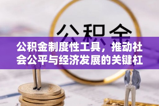 沧县公积金制度性工具，推动社会公平与经济发展的关键杠杆