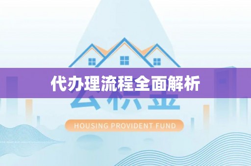 沧县代办理流程全面解析
