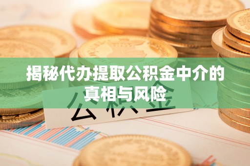沧县揭秘代办提取公积金中介的真相与风险