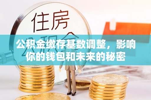 沧县公积金缴存基数调整，影响你的钱包和未来的秘密