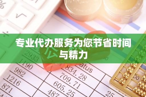 沧县专业代办服务为您节省时间与精力