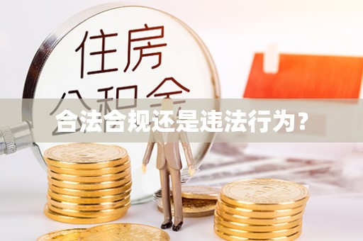 沧县合法合规还是违法行为？