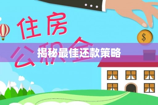 沧县揭秘最佳还款策略