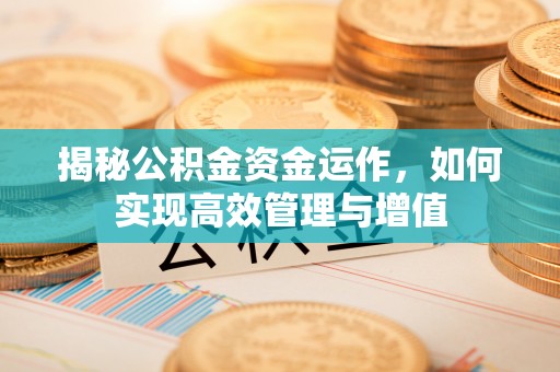 沧县揭秘公积金资金运作，如何实现高效管理与增值