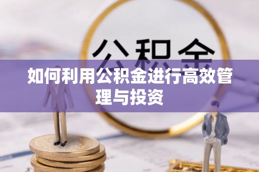 沧县如何利用公积金进行高效管理与投资