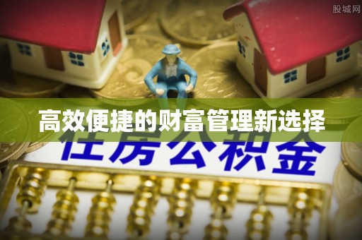 沧县高效便捷的财富管理新选择
